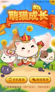 萌猫成长