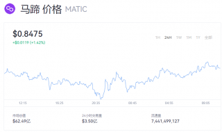 一个MATIC币最新币价多少钱？今日马