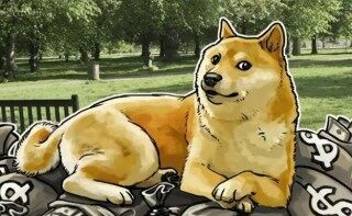 狗狗币安卓版下载 狗狗币手机端最