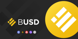 币安：BUSD已完成雪崩、Polygon *** 整合！开放充提服务