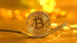 狗狗币钱包密码忘记(狗狗币钱包私