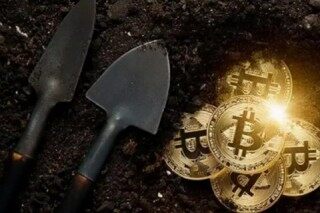 狗狗币钱包数据文件(狗狗币钱包官