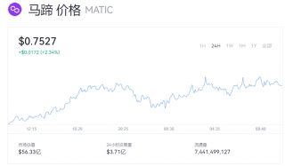 MATIC币一个值多少美元？马蹄币最新