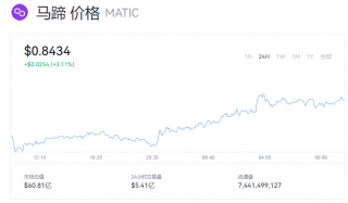 MATIC币现在多少美元？马蹄币今日行