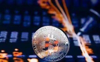 柚子币为什么涨不起来(柚子币为什