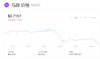 MATIC币一个多少美元？马蹄币行情走