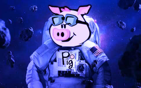 pig币手机app最新版 pig币猪猪币安卓版下载-第1张图片-币安app下载