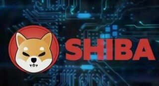 下载欧罗巴App-2022fil币未来价值