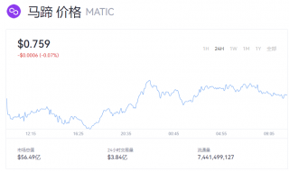 MATIC币一个相当于多少钱？马蹄币最