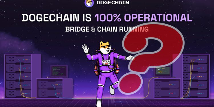 狗狗链遭黑停机疑云！开发者：bug误铸970万枚wDoge给他-第1张图片-币安app下载