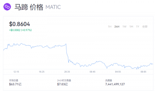 MATIC币一个价格多少钱？马蹄币今日