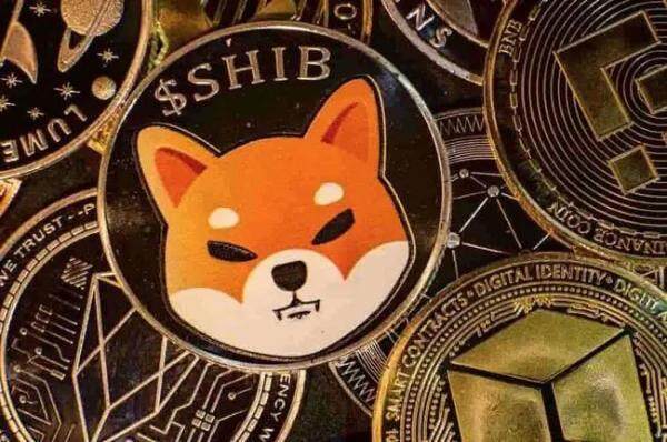 一、shib是什么? shib币未来前景怎么样-第1张图片-币安app下载