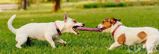 比特币安全性模型与不断下降的区块补贴