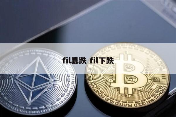 fil币为什么一直暴跌 为什么这么多人坚信FIL会飙升