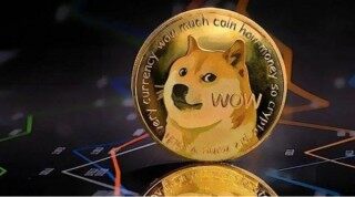 狗狗币让我赚到了一千万 虚拟货币狗狗币的前景