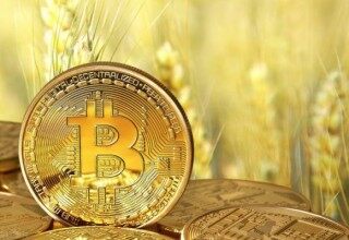 全球加密货币交易所排行榜_世界加密货币排名前10