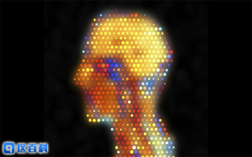 选择脑钱包暗号的原则