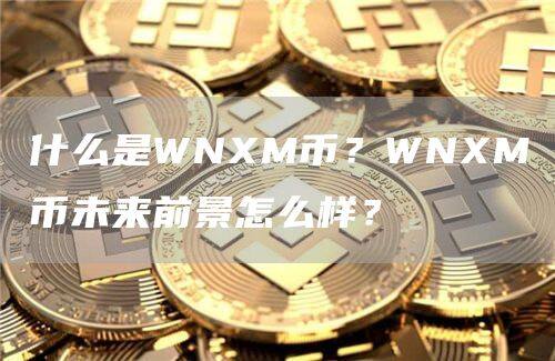 什么是WNXM币？WNXM币未来前景怎么样？-第1张图片-币安app下载