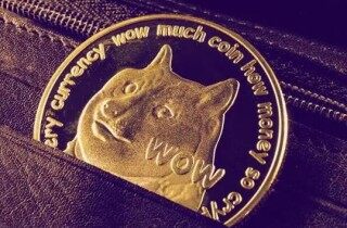 狗狗交易所app手机钱包 狗狗币安卓最新下载