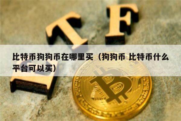 比特币狗狗币在哪里买（狗狗币 比特币什么平台可以买）-第1张图片-币安app下载