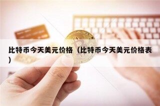 比特币今天美元价格（比特币今天美元价格表）