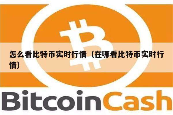 怎么看比特币实时行情（在哪看比特币实时行情）-第1张图片-币安app下载