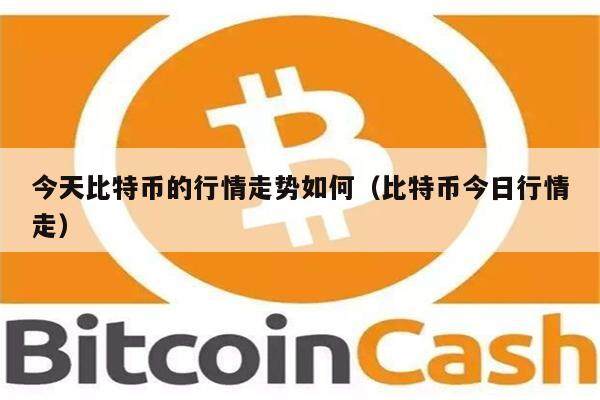 今天比特币的行情走势如何（比特币今日行情走）-第1张图片-币安app下载