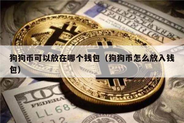 狗狗币可以放在哪个钱包（狗狗币怎么放入钱包）-第1张图片-币安app下载