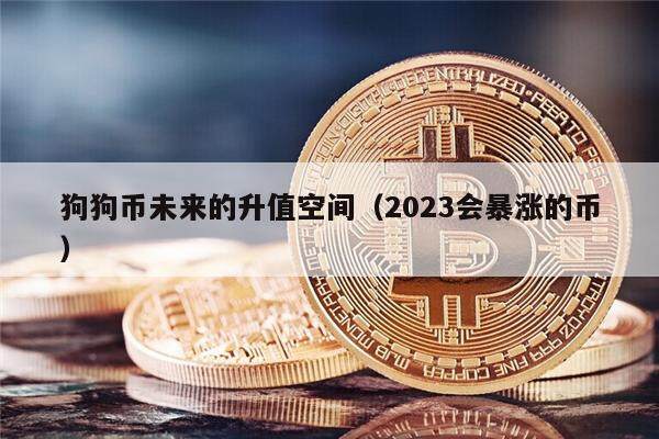 狗狗币未来的升值空间（2023会暴涨的币）-第1张图片-币安app下载