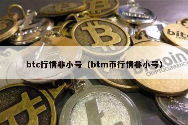 btc行情非小号（btm币行情非小号）-第1张图片-币安app下载