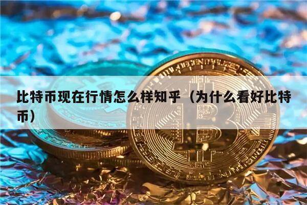 比特币现在行情怎么样知乎（为什么看好比特币）-第1张图片-币安app下载