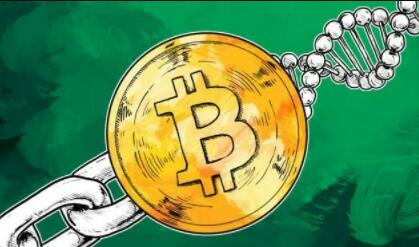 现在还有比特币交易平台吗？比特币交易平台QQ登陆-第2张图片-币安app下载