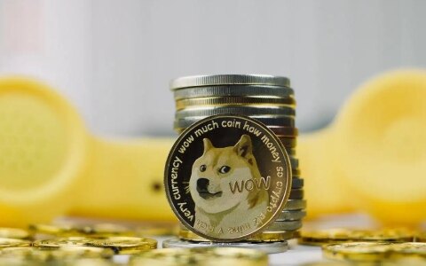 狗狗币交易平台 买狗狗去哪个平台靠谱(盘点)-第1张图片-币安app下载