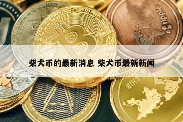 2022柴犬币几月份开始涨 – 狗狗币屎币暴涨出圈 奇怪概念的小众币风险几何-第1张图片-币安app下载