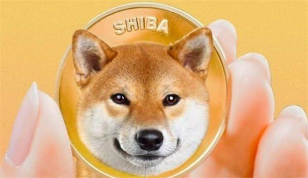 柴犬币在哪个交易平台可以买？国内最正规靠谱交易所-第1张图片-币安app下载