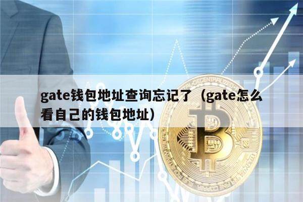 gate钱包地址查询忘记了（gate怎么看自己的钱包地址）-第1张图片-币安app下载