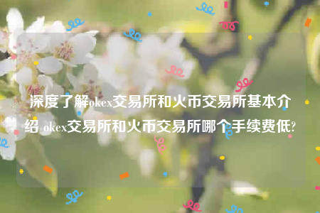 欧意下载最新官方app官网下载-深度了解ok交易所和火币交易所基本介绍 ok交易所和火币交易所哪个手续费低-第1张图片-binanceapp官网下载下载