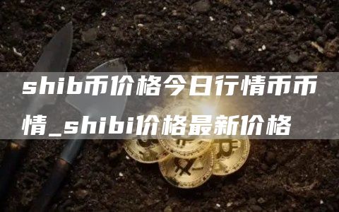 shib币价格今日行情币币情_shibi价
