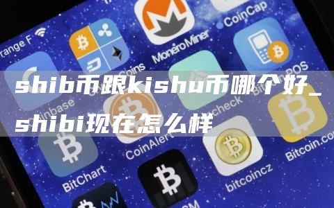 shib币跟kishu币哪个好_shibi现在