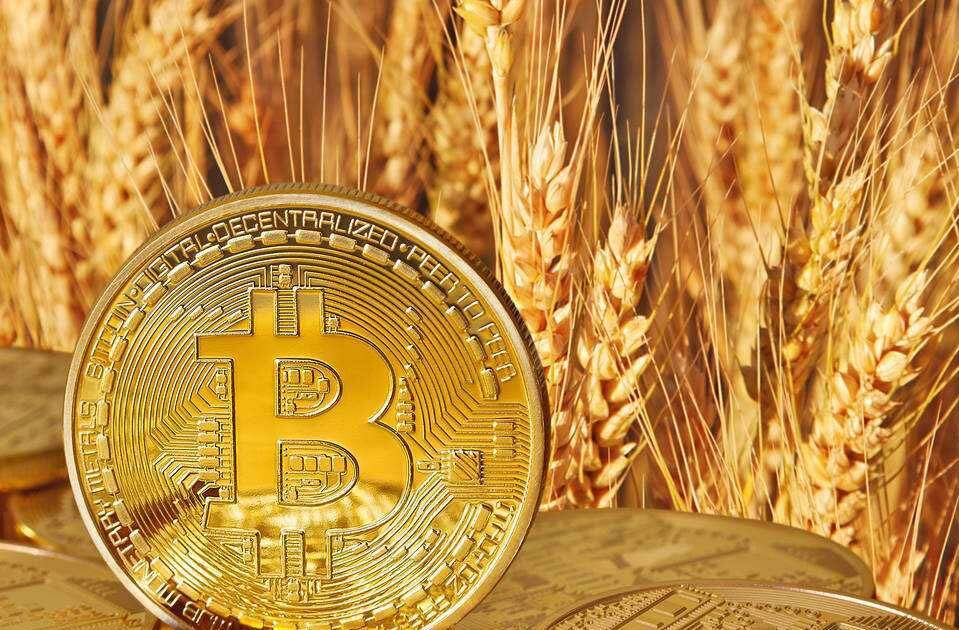 维卡币怎么投资(维卡币的投资价值)-第1张图片-binanceapp官网下载下载