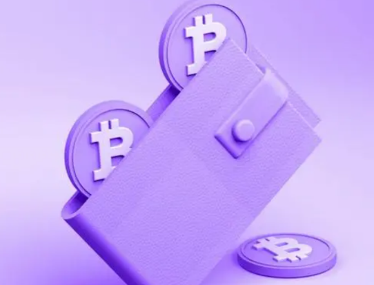 什么是观察钱包-第1张图片-binanceapp官网下载下载