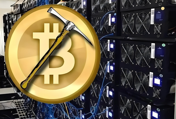 如何将虚拟币转到钱包中-第1张图片-binanceapp官网下载下载