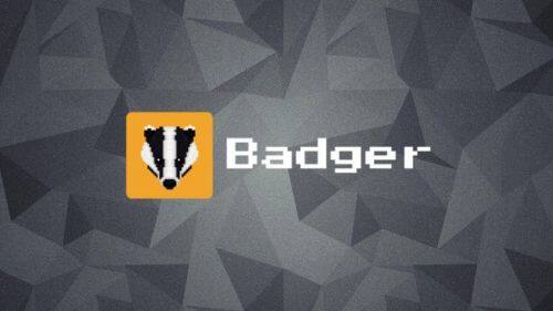 什么是Badger DAO币-第1张图片-binanceapp官网下载下载