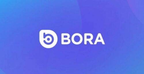 什么是BORA币-第1张图片-binanceapp官网下载下载