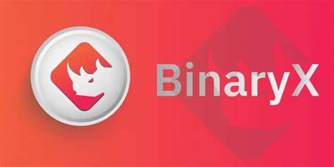 什么是BinaryX币-第1张图片-binanceapp官网下载下载