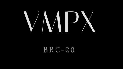 VMPX(Ordinals)币是什么?-第1张图片-binanceapp官网下载下载