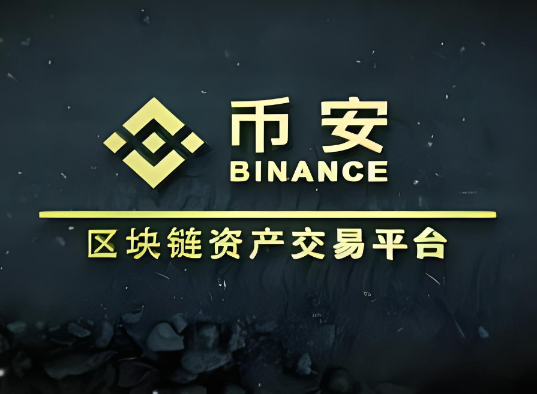 binance提币地址错误怎么办-第1张图片-binanceapp官网下载下载