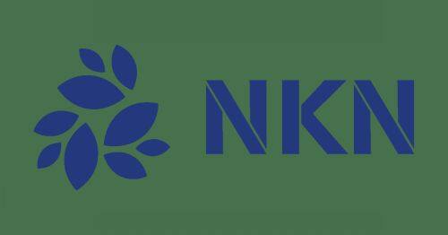 什么是NKN币-第1张图片-binanceapp官网下载下载